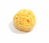 Natural Sea Sponge