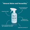 Mint Cleaning - Glass Cleaner - Chickpeace Zero Waste Refillery