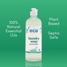 Eco Sanitizer Laundry Detergent