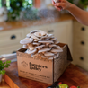 Grow-At-Home Mushroom Kit