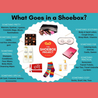 Donate to The ShoeBox Project