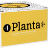Planta Bowls (set of 4)